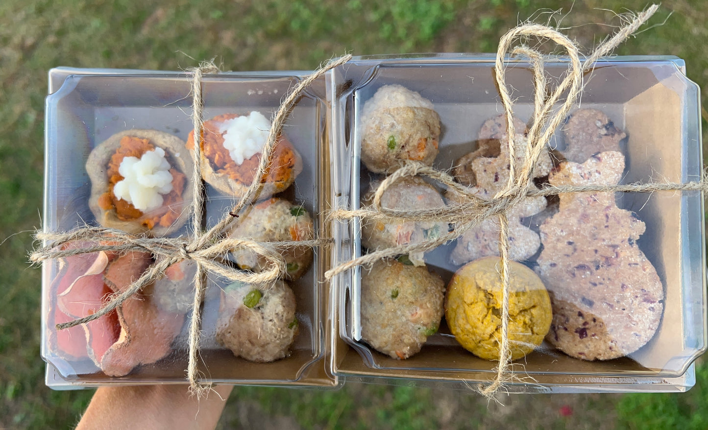 Thanksgiving Doggie Boxes