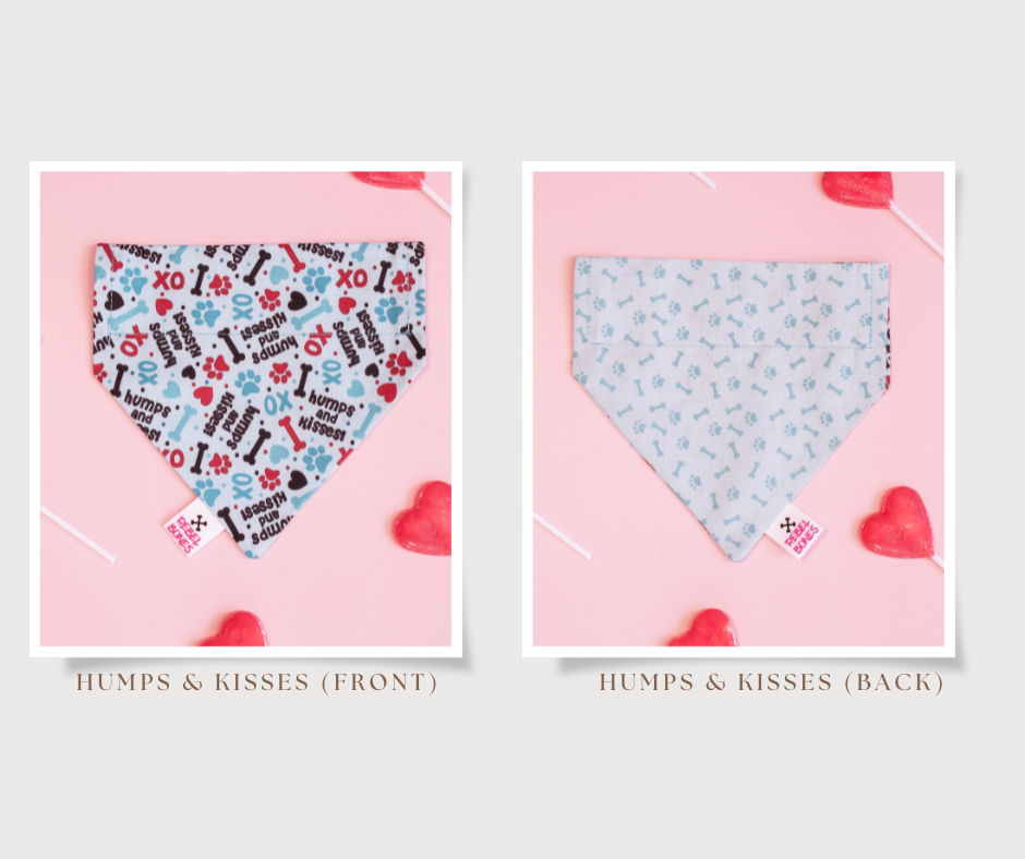 Valentine's Day Bandanas