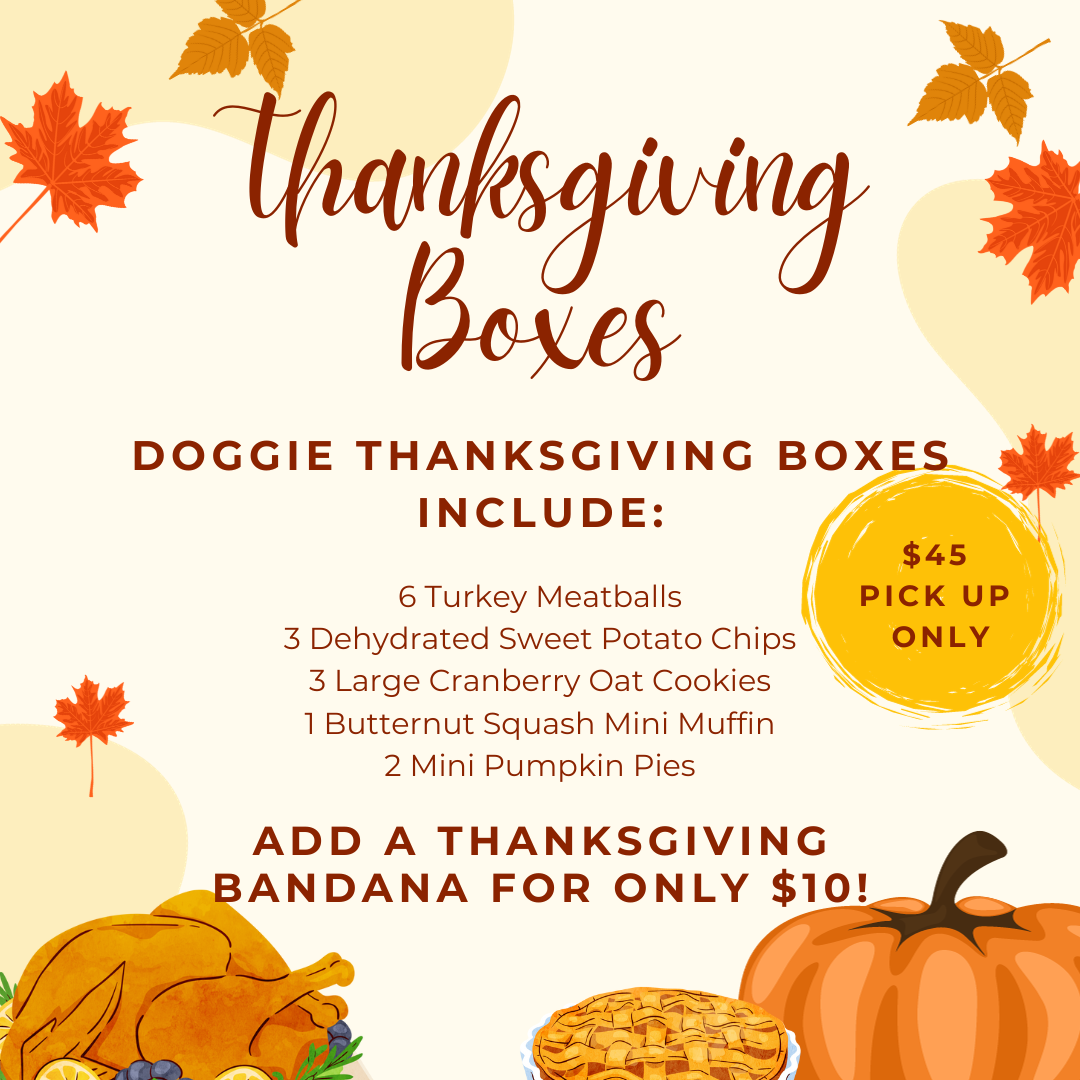 Thanksgiving Doggie Boxes